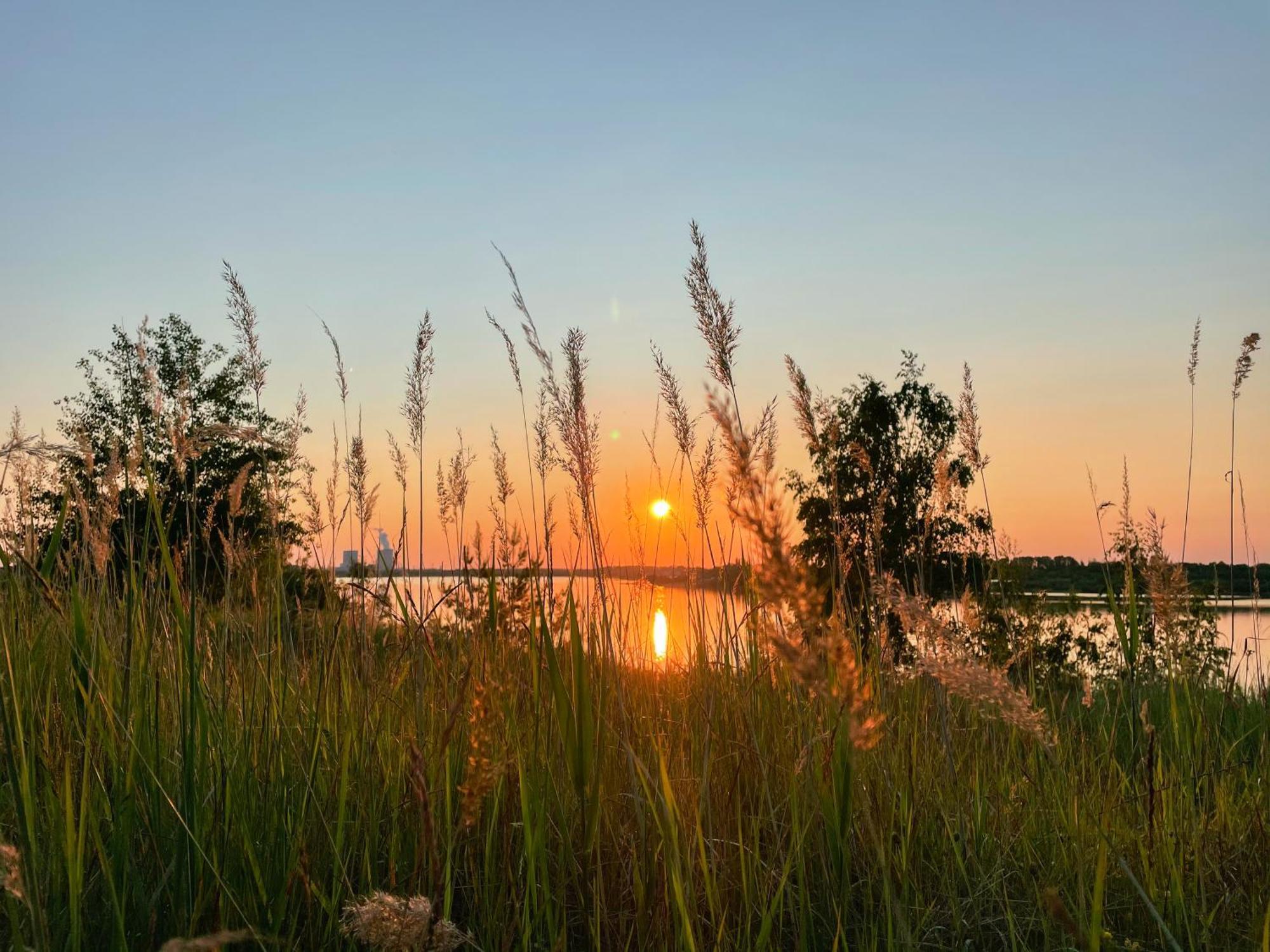Haus Im Schilf 2 - Ferienwohnungen Am Hainer See Bei Leipzig Neukieritzsch Luaran gambar